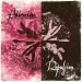 “Attraction and Repulsion”  Bloom Tune Music Video By Airship Caravan