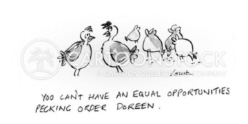 Are We Going Chicken Mad? By Howard Bloom Are We Going Chicken Mad? By Howard Bloom